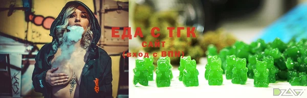 хмурый Аркадак
