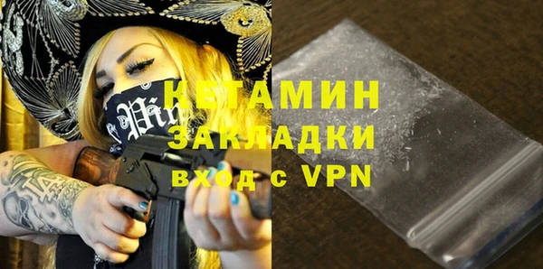 хмурый Аркадак