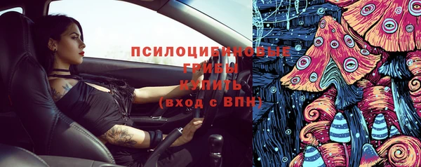 бошки Арсеньев