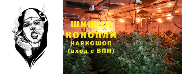 хмурый Аркадак