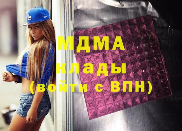 хмурый Аркадак