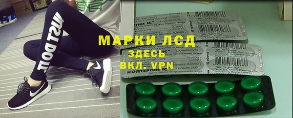 хмурый Аркадак