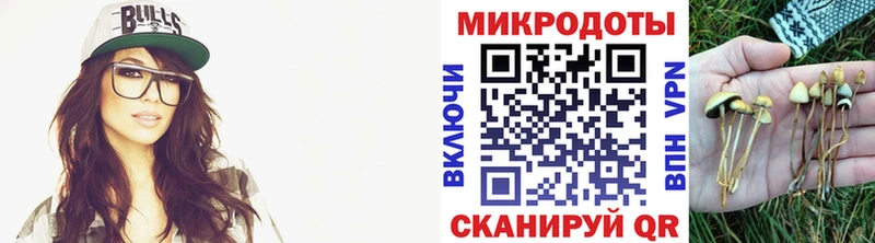 Псилоцибиновые грибы Cubensis  Талдом 